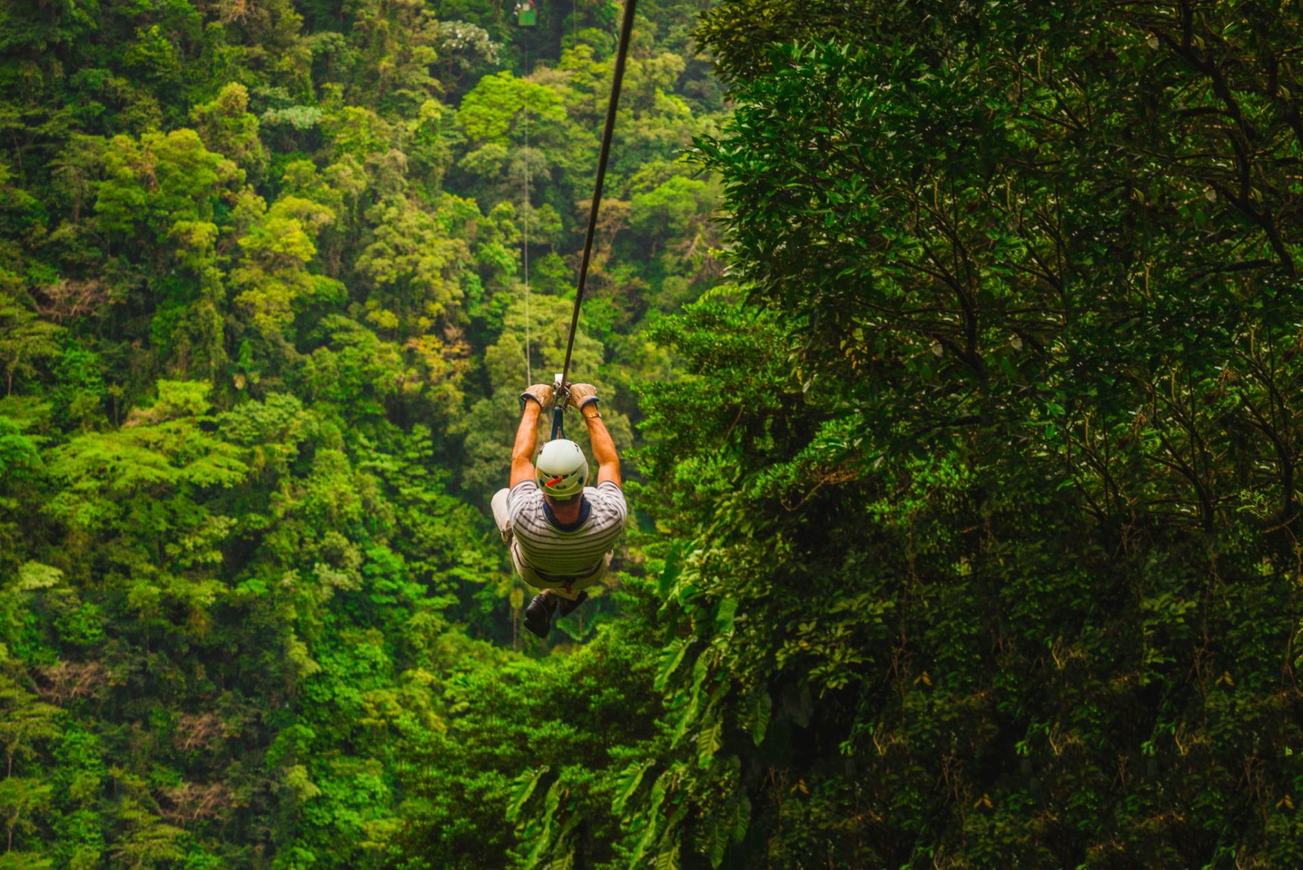 Jungle Zipline Tours Costa Rica