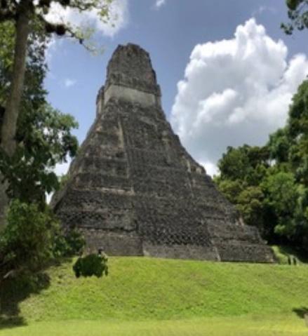 Tikal Maya Pyramid