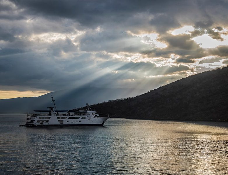 Explore The Islands Through A Luxury Cruise Vessel