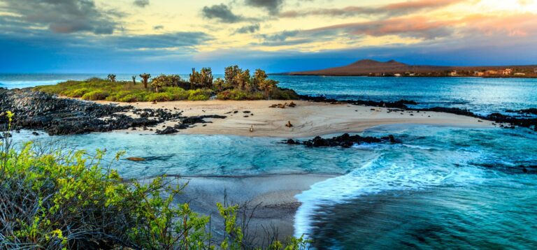 Shutterstock Galapagos