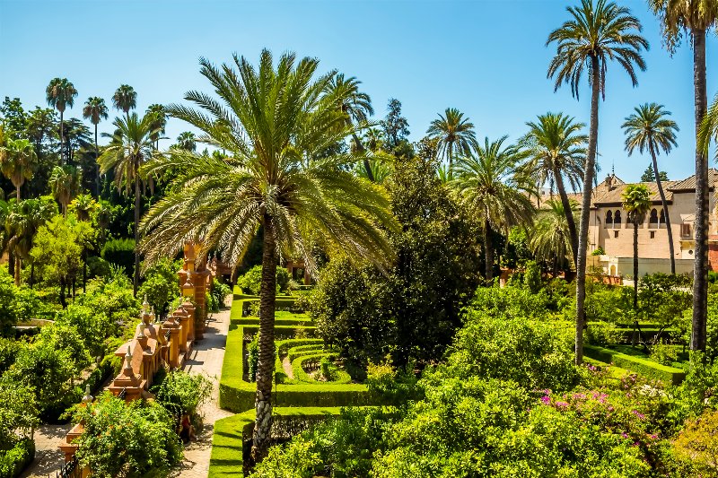 See Yourself In Dorne Walking The Beautiful Water Gardens