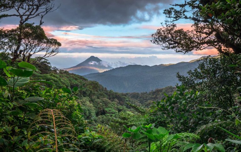 Monteverde Costa Rica Ecotour