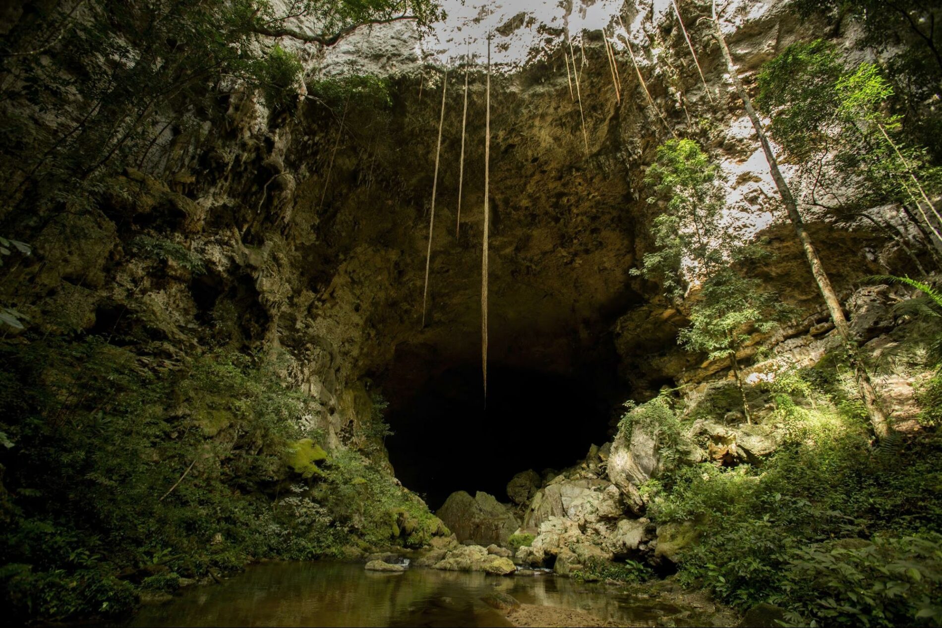 Mouth Of The Giant Rio Frio Cave At Mountain Pine Ridge