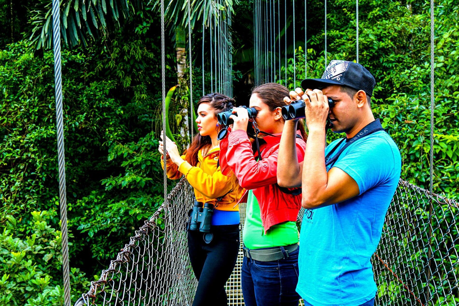 Hangin Bridges In The Rainforests Of Costa Rica