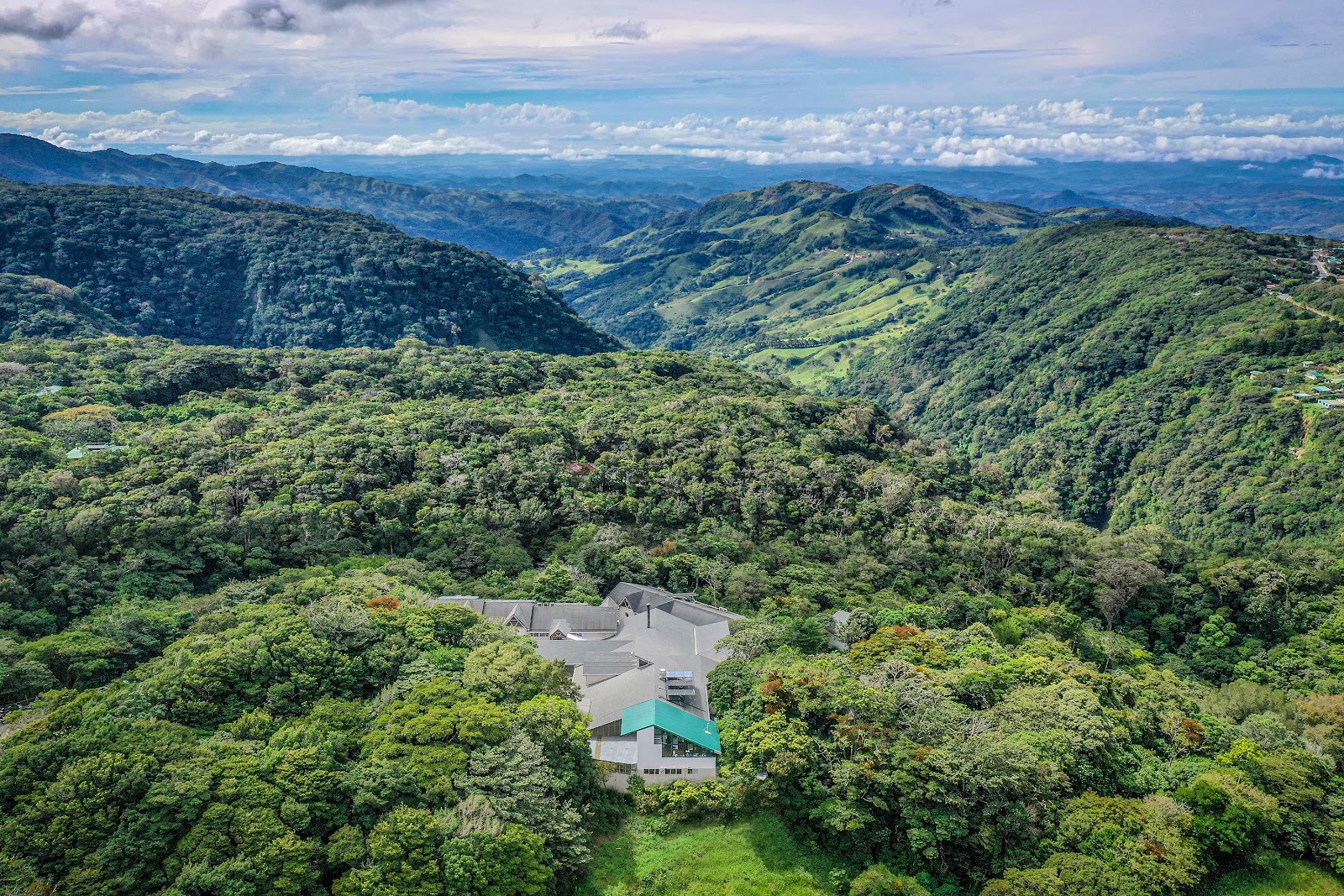 Majestic Cloudforest Of Monteverde