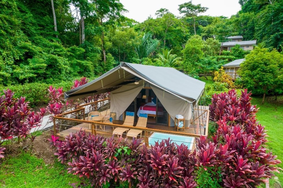 Glamping In Paradise