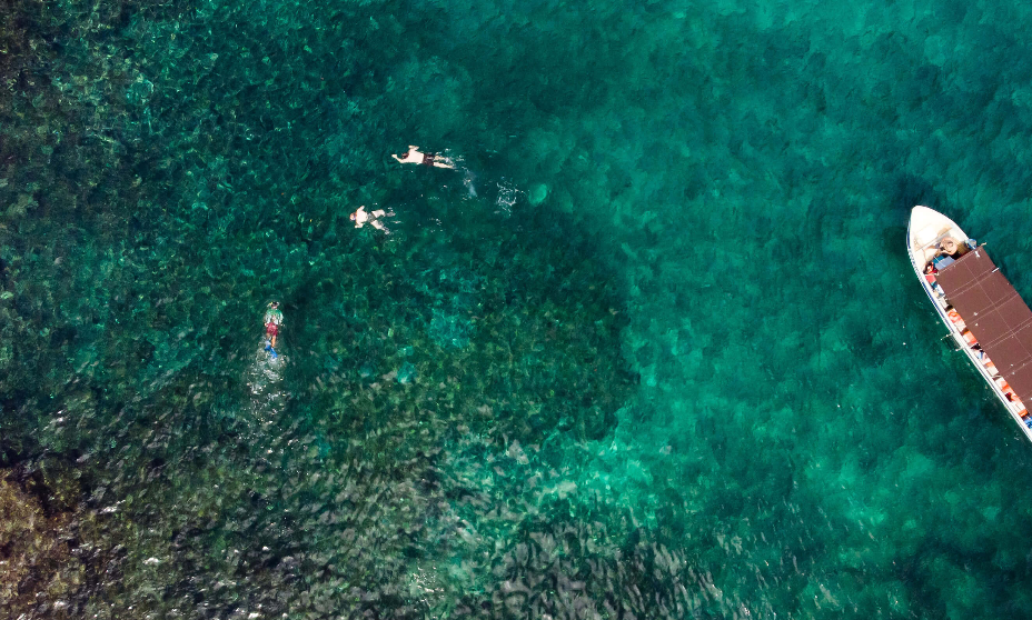 Snorkeling In Panama