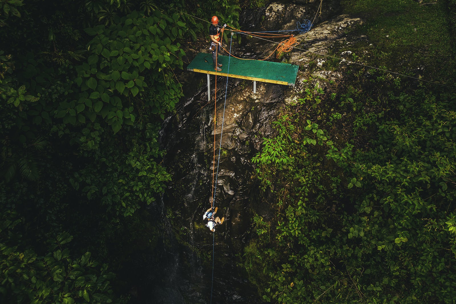 Enjoy The Private Reserve With An Eco Adventure Rappelling Experience